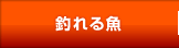 釣れる魚