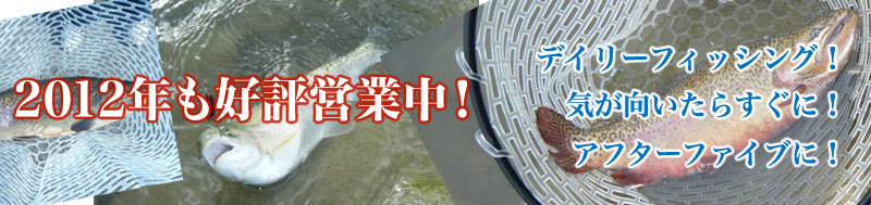 デイリーフィッシング！気が向いたらすぐに！アフターファイブに！